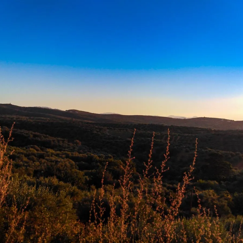 Platanias Countryside Plot for Sale - ARENCORES, Chania Real Estate