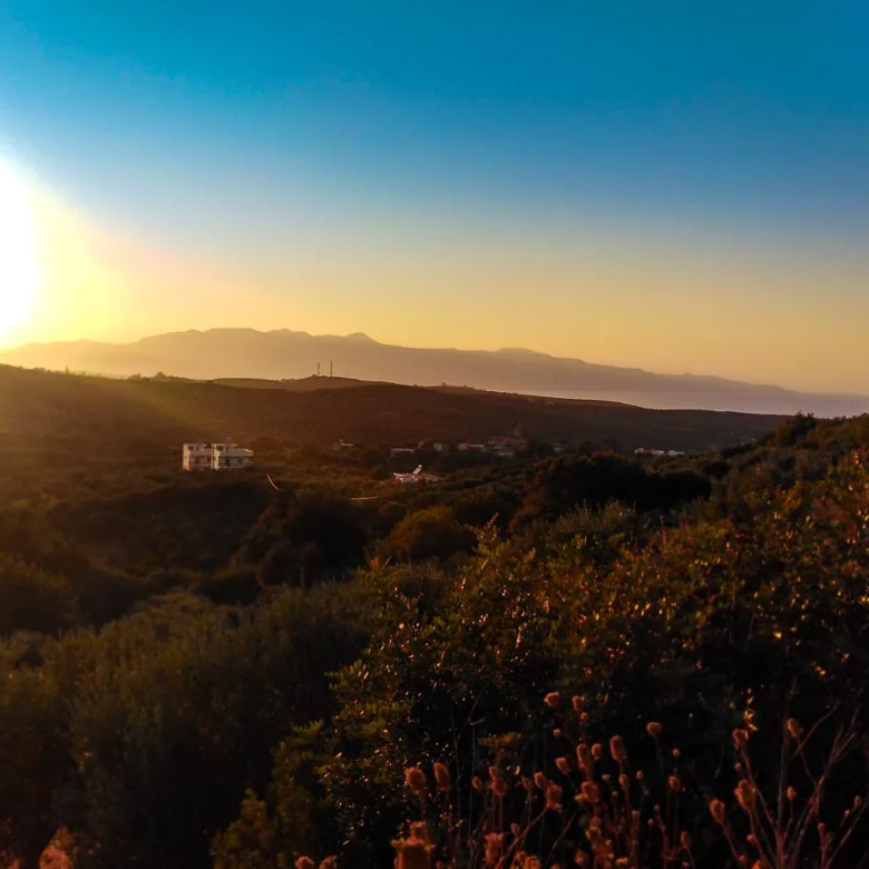 Platanias Countryside Plot for Sale - ARENCORES, Chania Real Estate