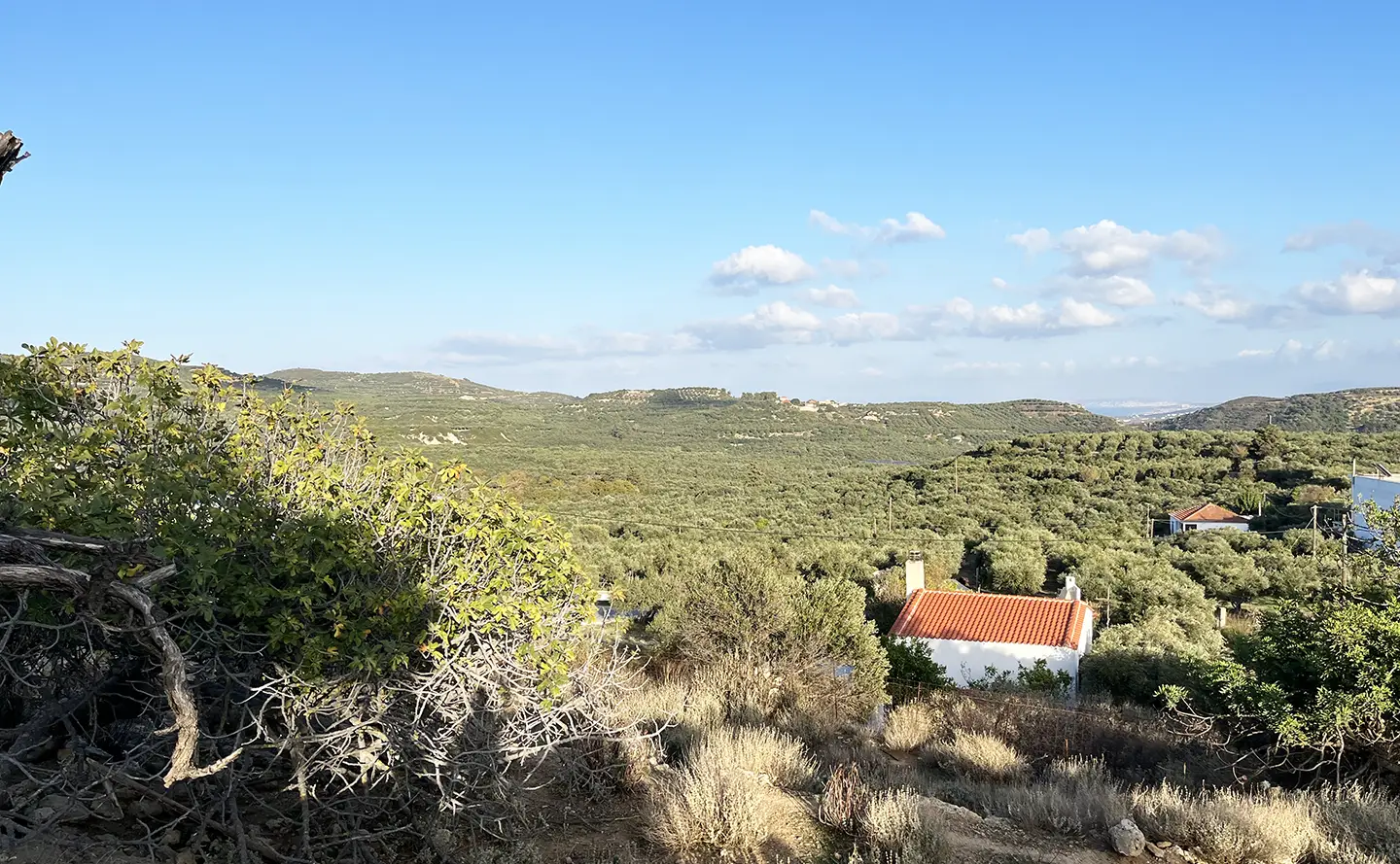 A Plot in Kolimbari With High Investment Potential