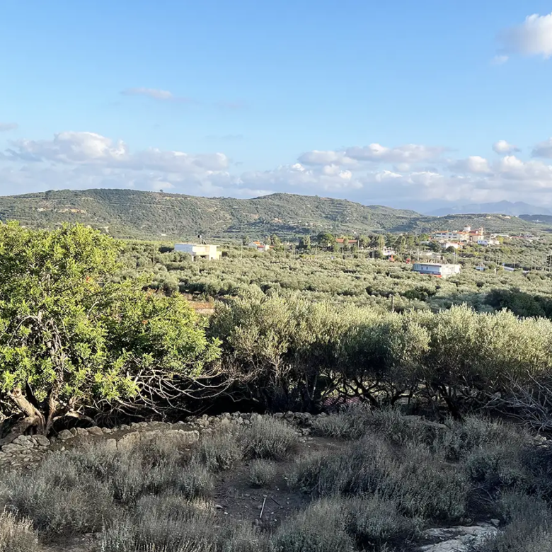A Plot in Kolimbari With High Investment Potential