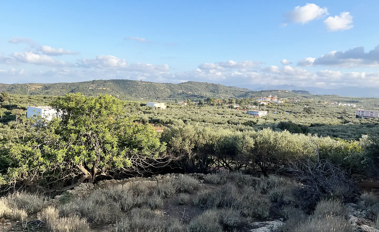 A Plot in Kolimbari With High Investment Potential