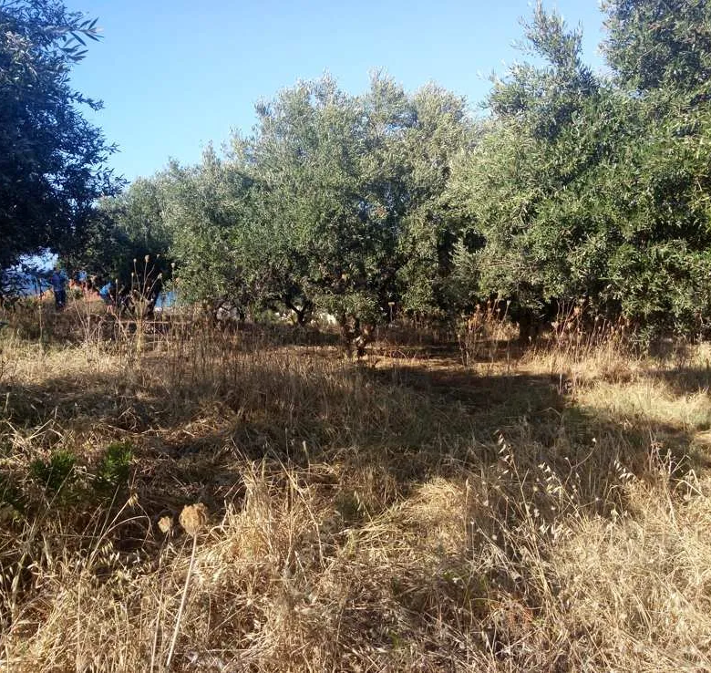 Stalos Land for Sale= Chania Real Estate Investements