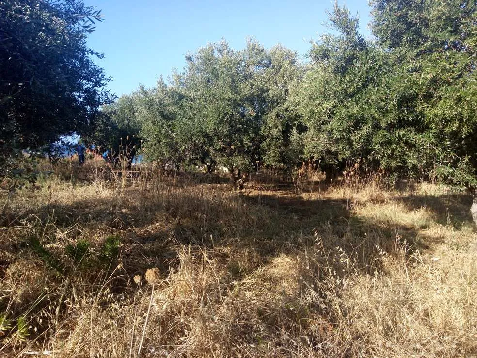 Stalos Land for Sale= Chania Real Estate Investements