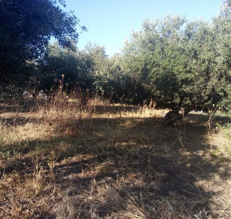 Stalos Land for Sale= Chania Real Estate Investements
