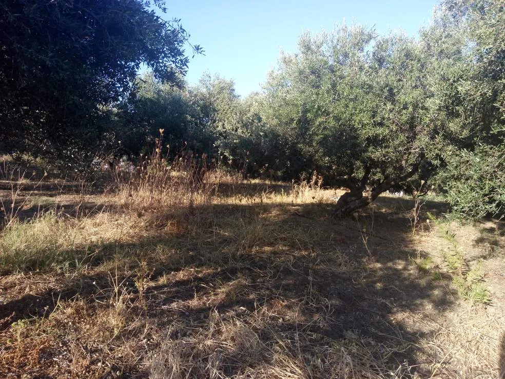 Stalos Land for Sale= Chania Real Estate Investements