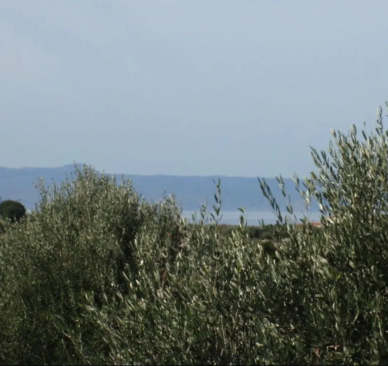 Stavros Large Plot for Sale, Akrotiri - ARENCORES Chania Real Estate Agents