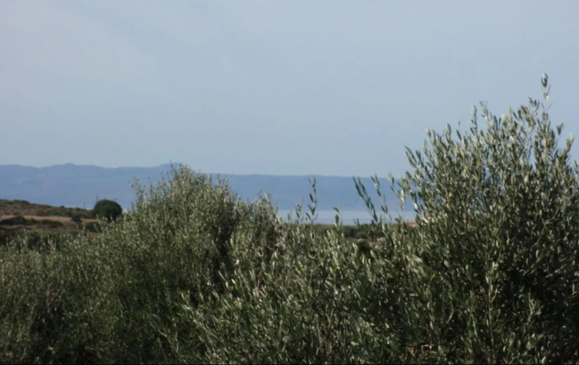 Stavros Large Plot for Sale, Akrotiri - ARENCORES Chania Real Estate Agents
