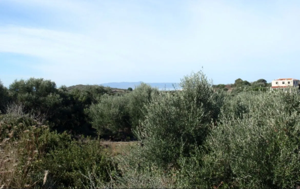 Stavros Large Plot for Sale, Akrotiri - ARENCORES Chania Real Estate Agents