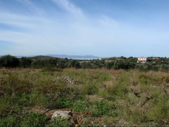 Stavros Large Plot for Sale, Akrotiri - ARENCORES Chania Real Estate Agents