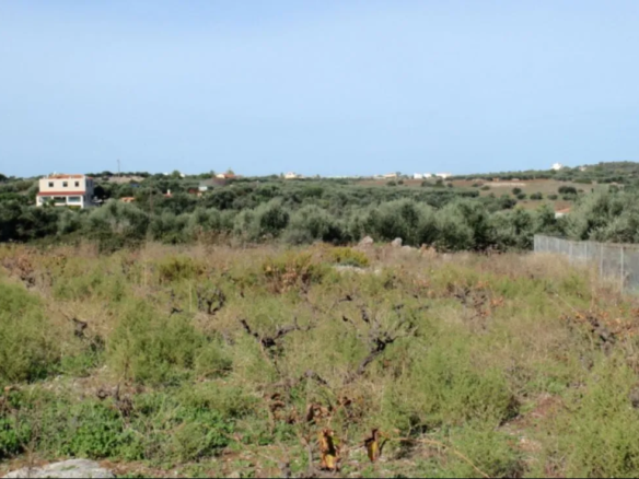 Stavros Large Plot for Sale, Akrotiri - ARENCORES Chania Real Estate Agents
