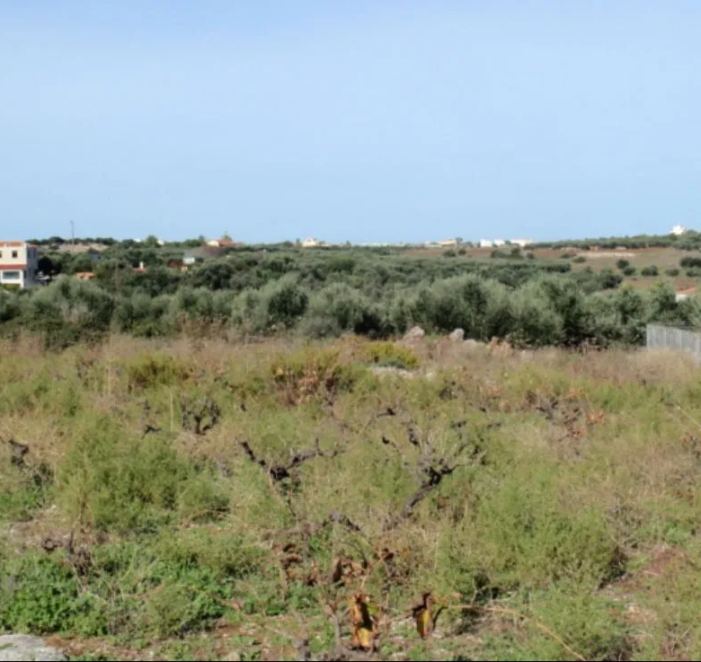 Stavros Large Plot for Sale, Akrotiri - ARENCORES Chania Real Estate Agents