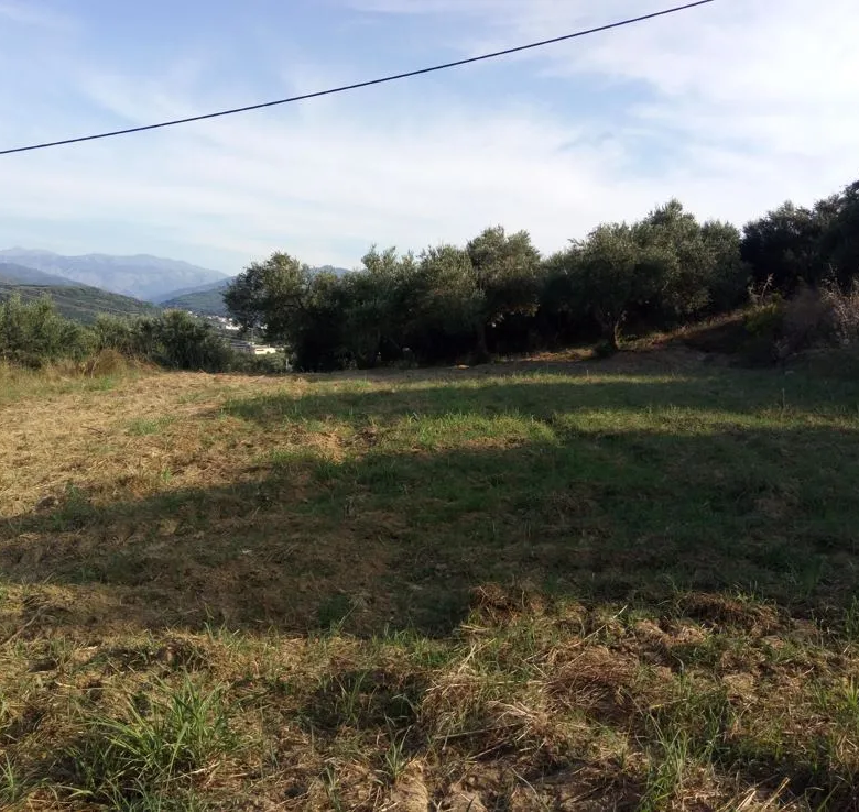 Voukolies Large Plot for Sale, Tavronitis - Chania Real Estate Experts