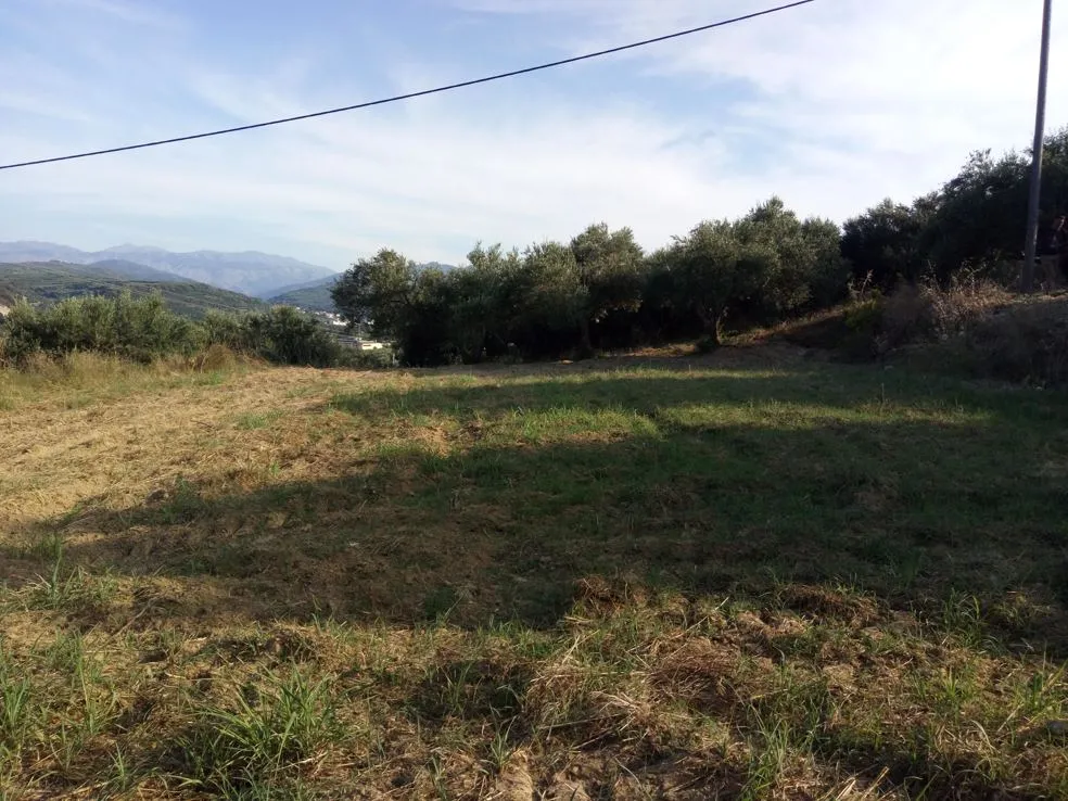 Voukolies Large Plot for Sale, Tavronitis - Chania Real Estate Experts