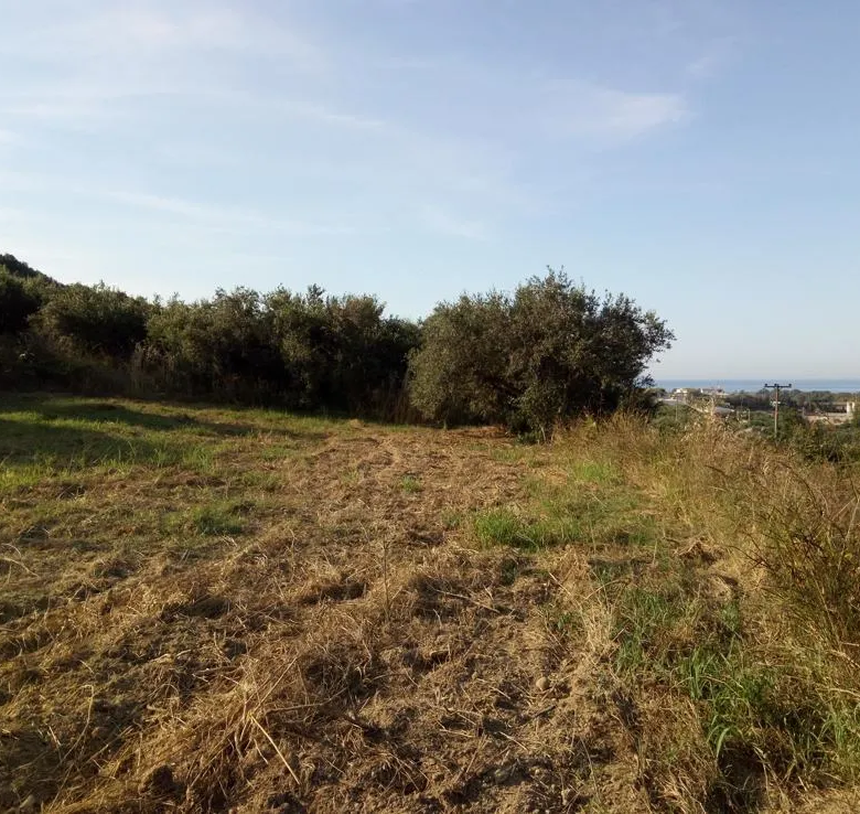 Voukolies Large Plot for Sale, Tavronitis - Chania Real Estate Experts