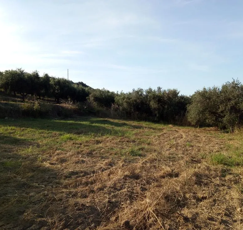 Voukolies Large Plot for Sale, Tavronitis - Chania Real Estate Experts
