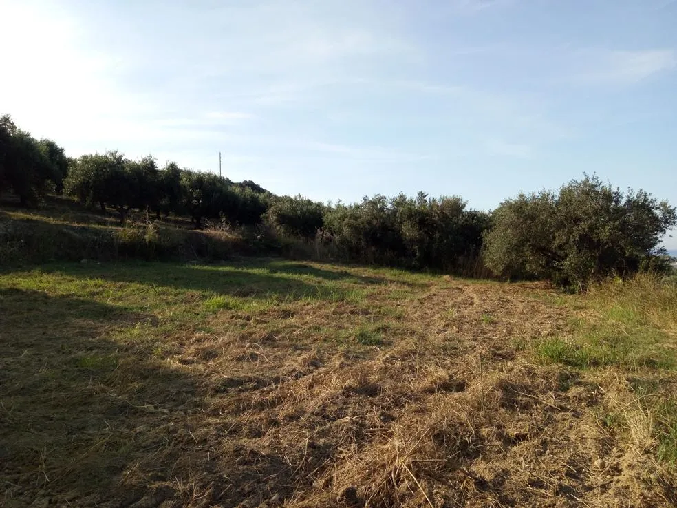 Voukolies Large Plot for Sale, Tavronitis - Chania Real Estate Experts