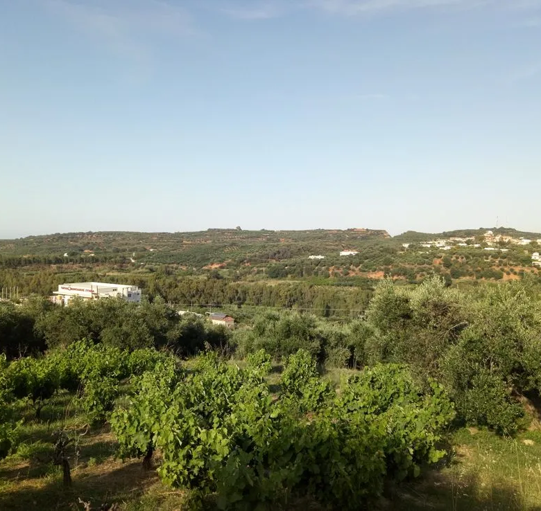 Voukolies Large Plot for Sale, Tavronitis - Chania Real Estate Experts