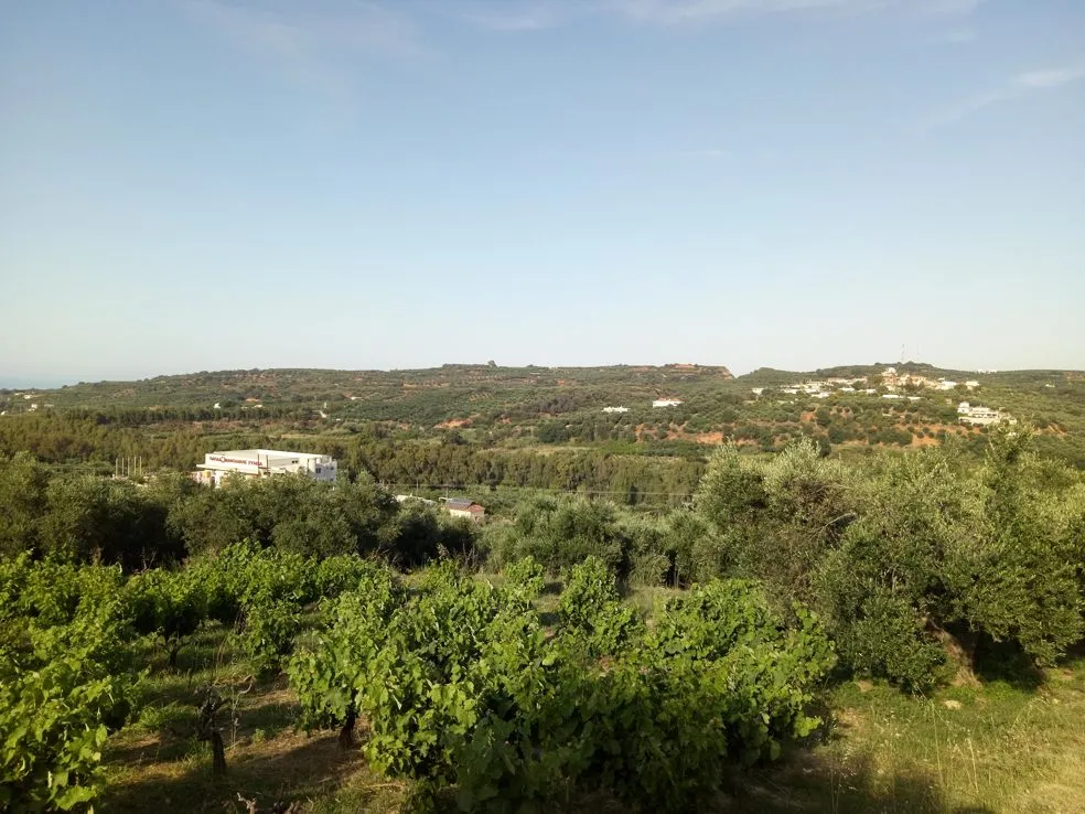 Voukolies Large Plot for Sale, Tavronitis - Chania Real Estate Experts