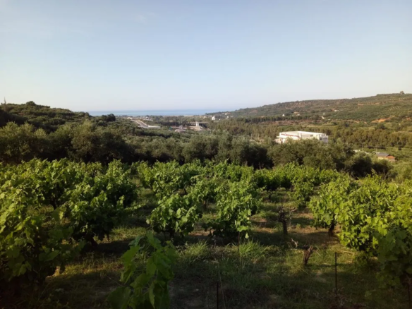 Voukolies Large Plot for Sale, Tavronitis - Chania Real Estate Experts