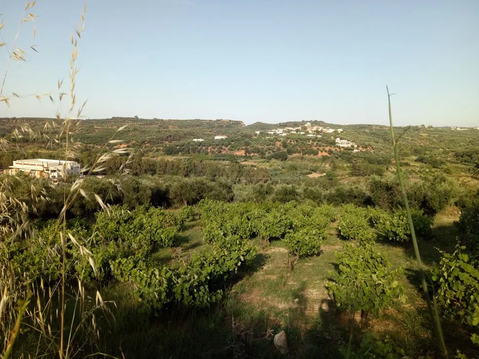 Voukolies Large Plot for Sale, Tavronitis - Chania Real Estate Experts