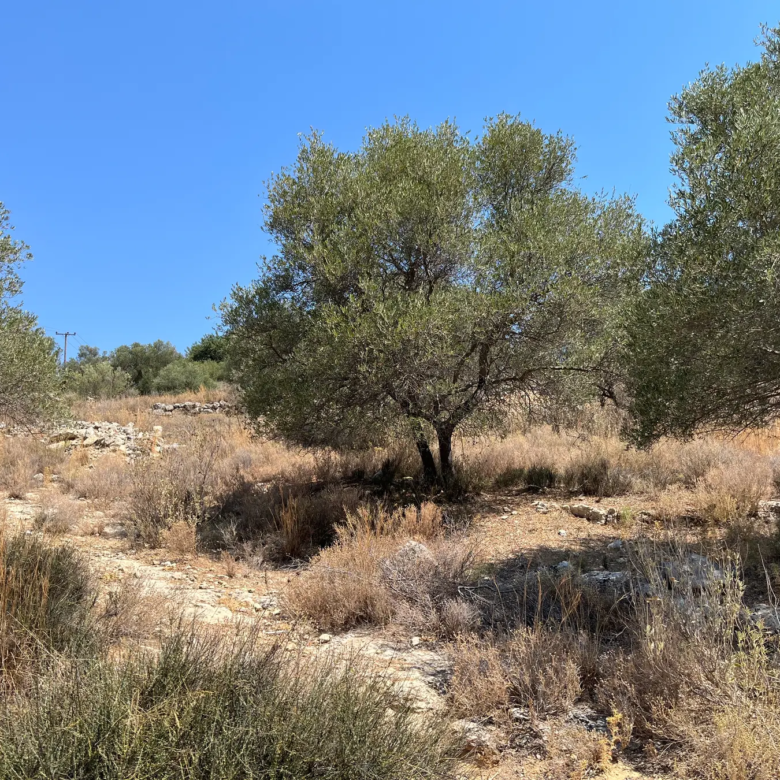 Large Plot for Sale near Stilos, Apokoronas - Chania Real Estate