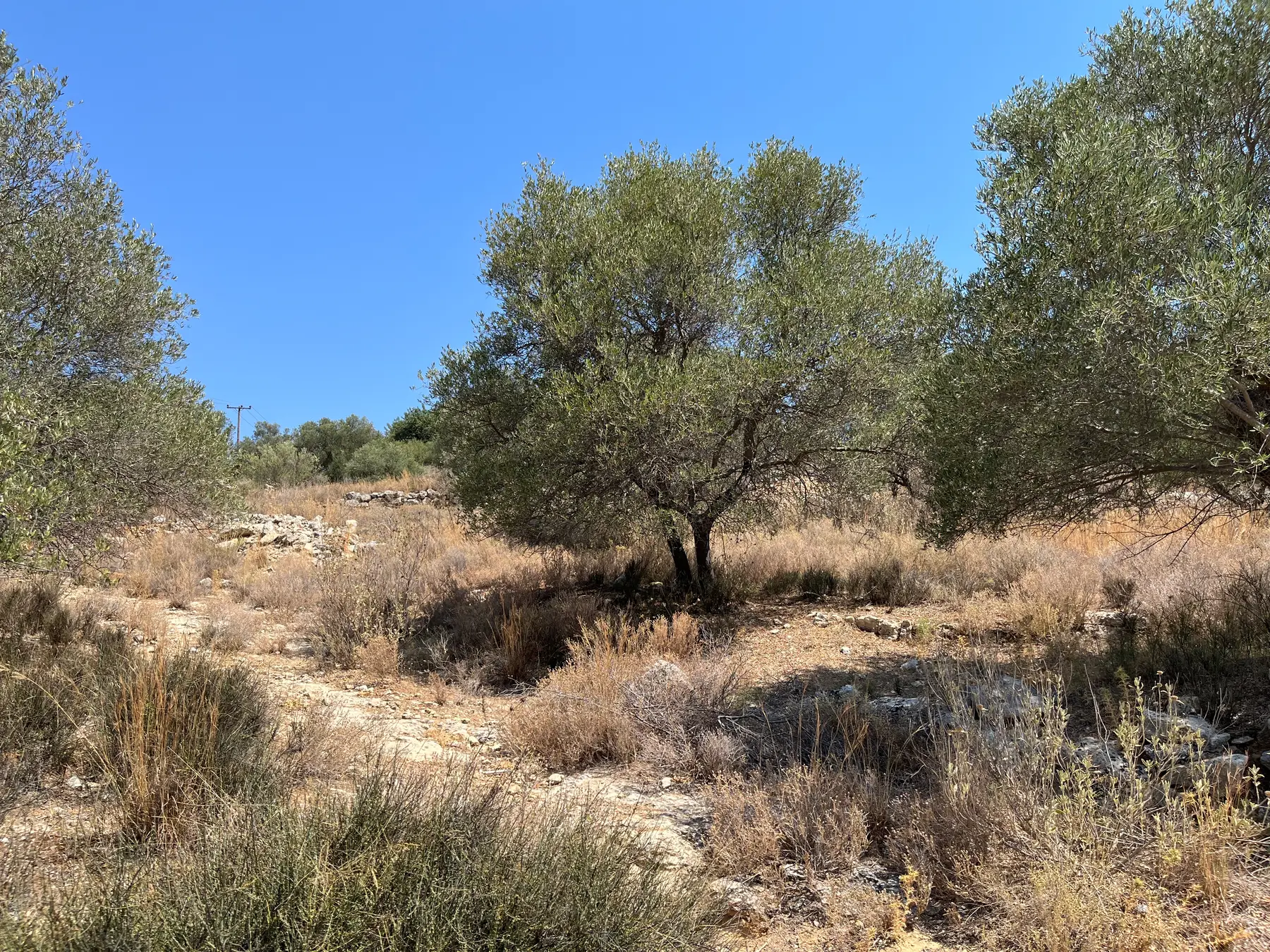 Large Plot for Sale near Stilos, Apokoronas - Chania Real Estate