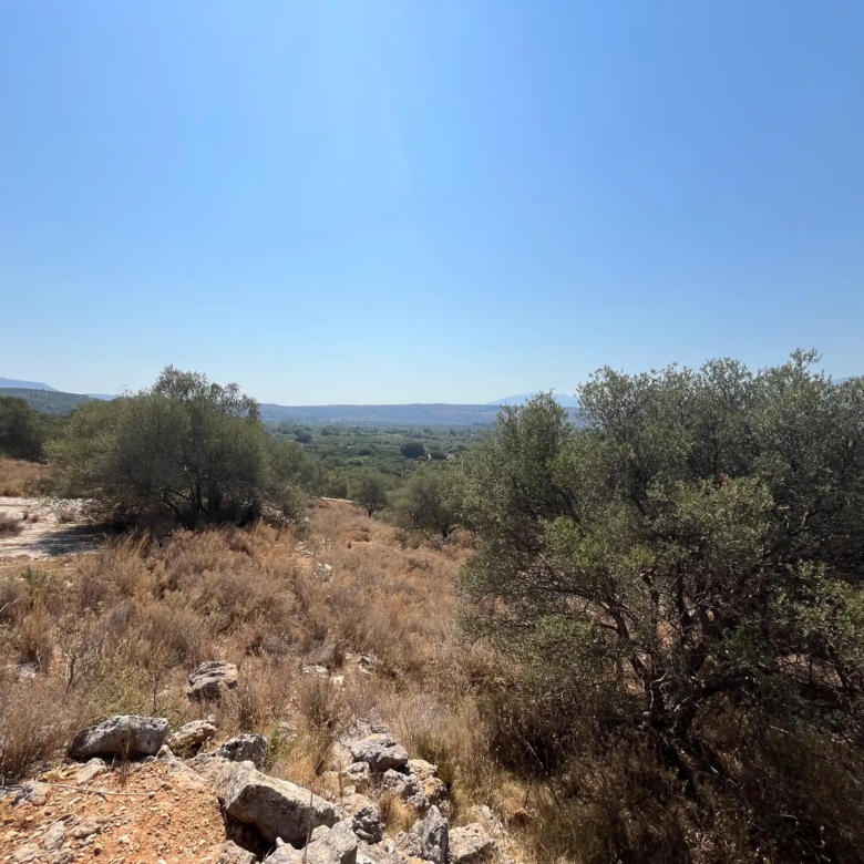 Large Plot for Sale near Stilos, Apokoronas - Chania Real Estate