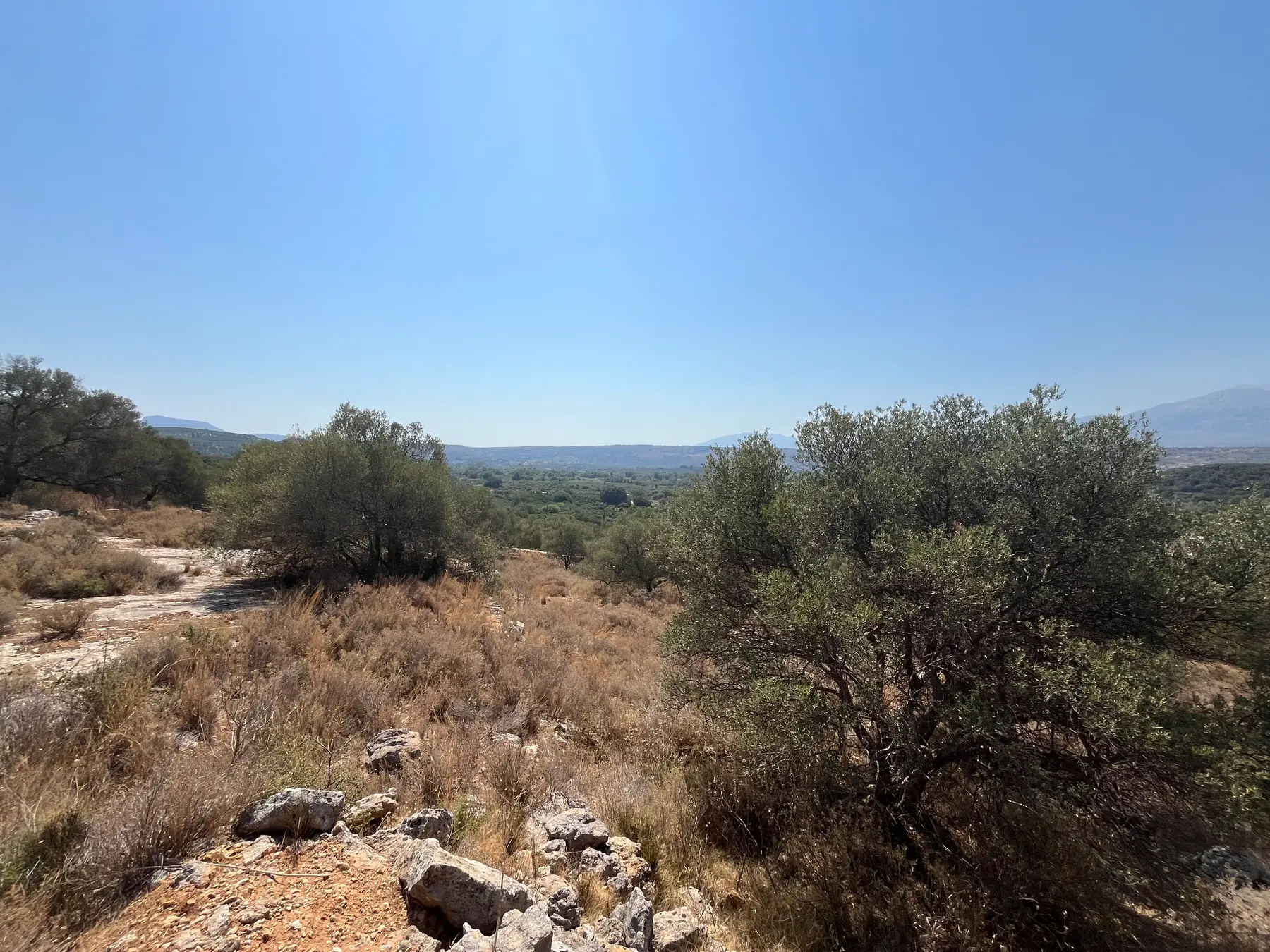 Large Plot for Sale near Stilos, Apokoronas - Chania Real Estate
