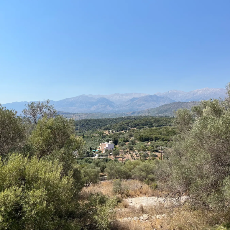 Large Plot for Sale near Stilos, Apokoronas - Chania Real Estate