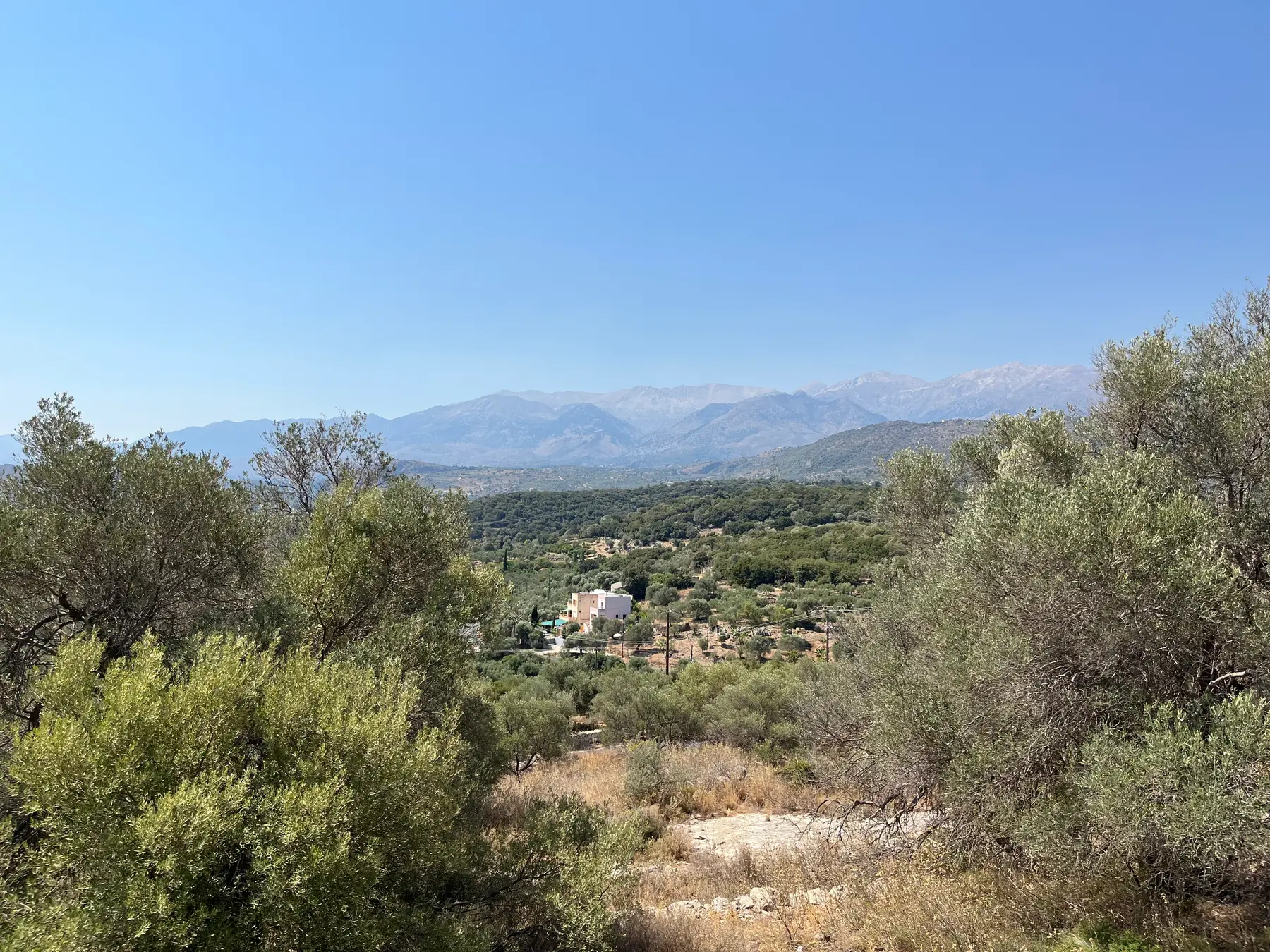 Large Plot for Sale near Stilos, Apokoronas - Chania Real Estate