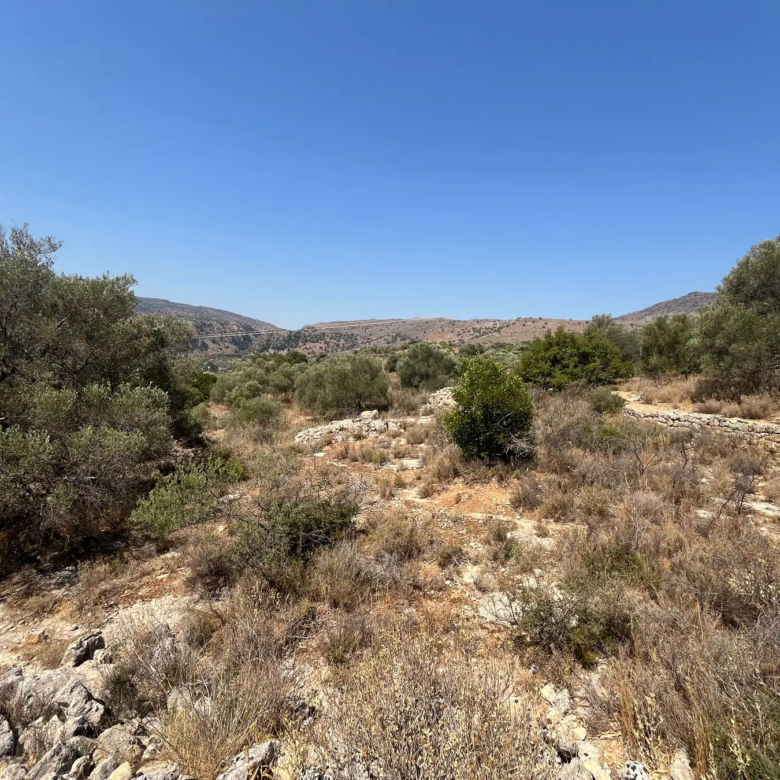 Large Plot for Sale near Stilos, Apokoronas - Chania Real Estate