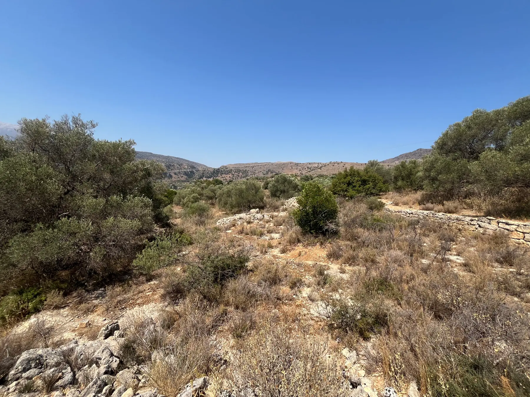 Large Plot for Sale near Stilos, Apokoronas - Chania Real Estate