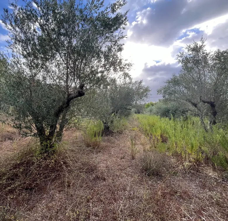 Plot with 400 sq.m. Build Potential in Exopoli, Georgioupoli.