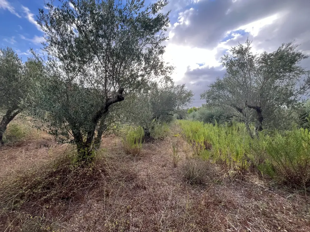 Plot with 400 sq.m. Build Potential in Exopoli, Georgioupoli.