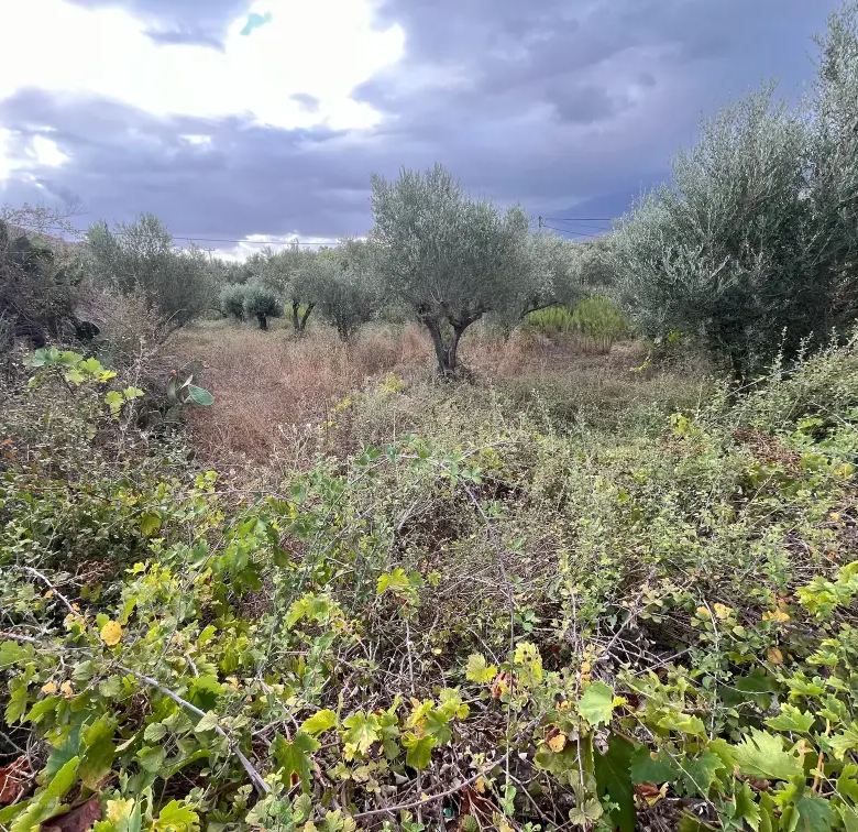 Plot with 400 sq.m. Build Potential in Exopoli, Georgioupoli.