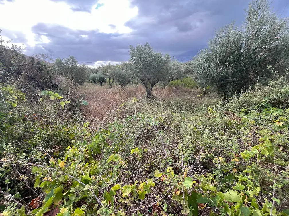 Plot with 400 sq.m. Build Potential in Exopoli, Georgioupoli.