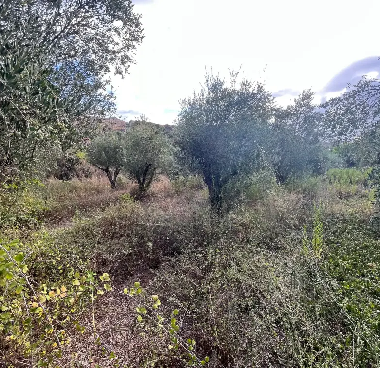 Plot with 400 sq.m. Build Potential in Exopoli, Georgioupoli.