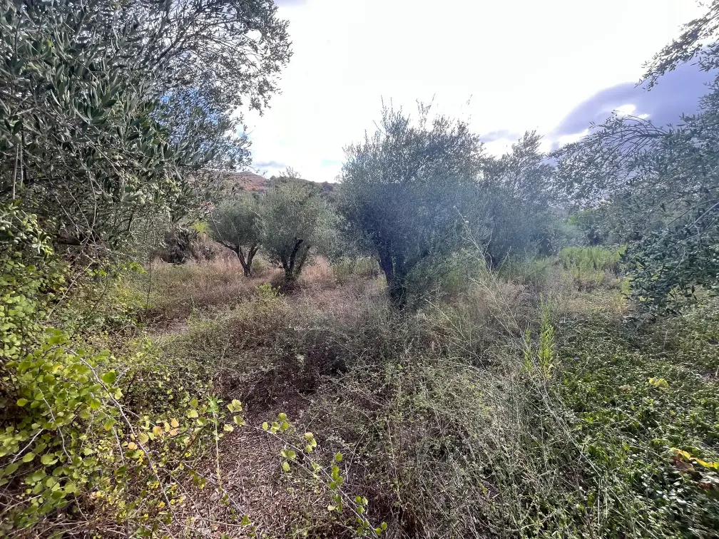 Plot with 400 sq.m. Build Potential in Exopoli, Georgioupoli.
