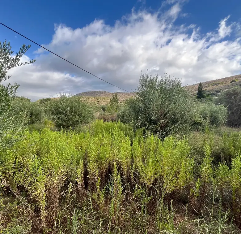 Plot with 400 sq.m. Build Potential in Exopoli, Georgioupoli.