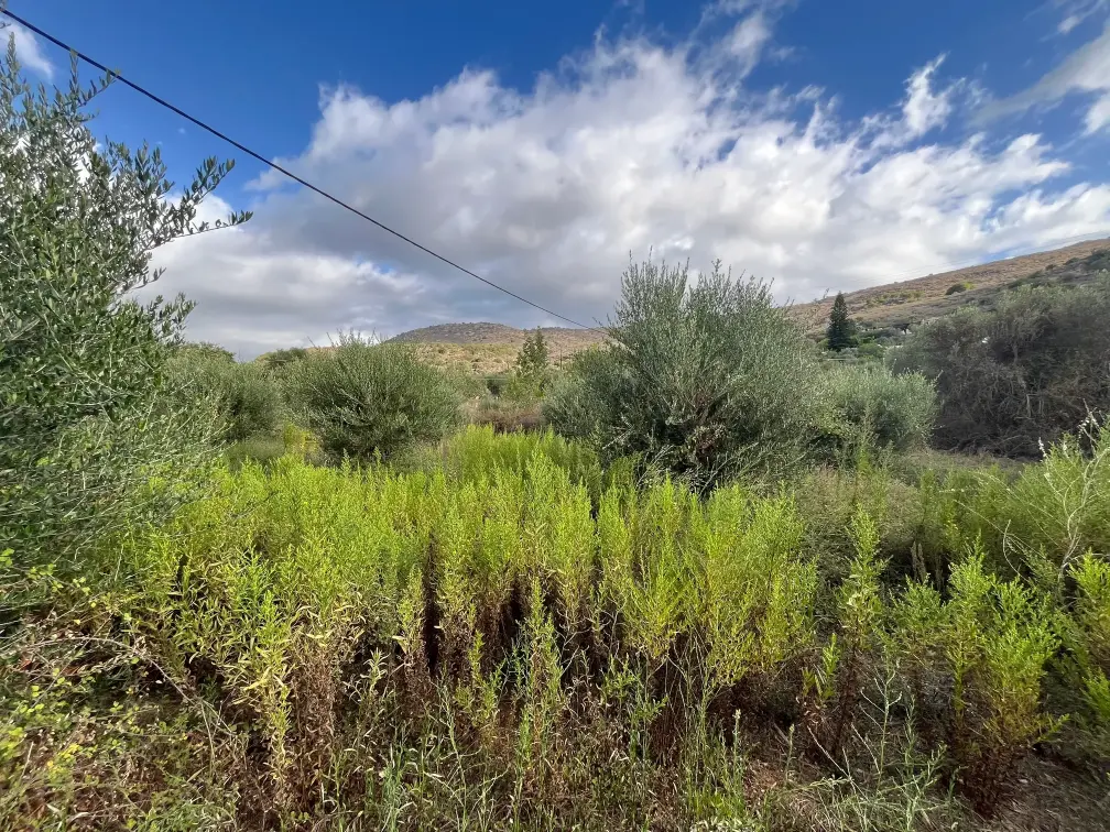 Plot with 400 sq.m. Build Potential in Exopoli, Georgioupoli.