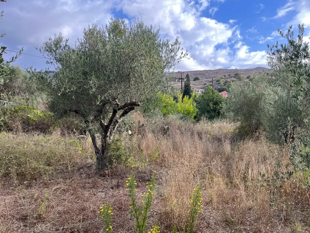 Plot with 400 sq.m. Build Potential in Exopoli, Georgioupoli.