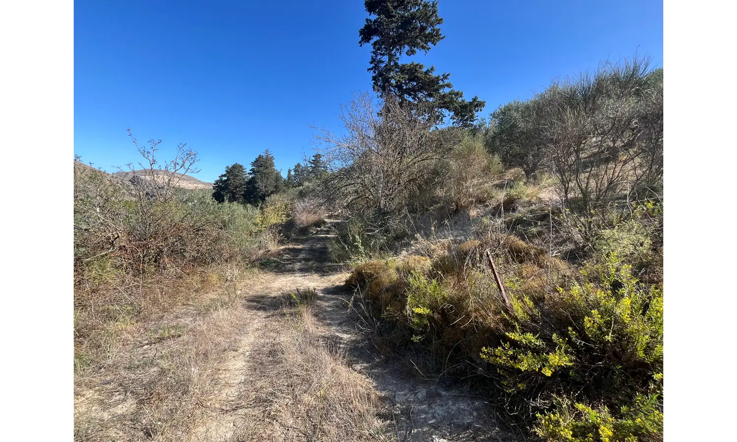Expansive Plot for Sale in Deliana, Kolimbari: Exceptional Prospects.