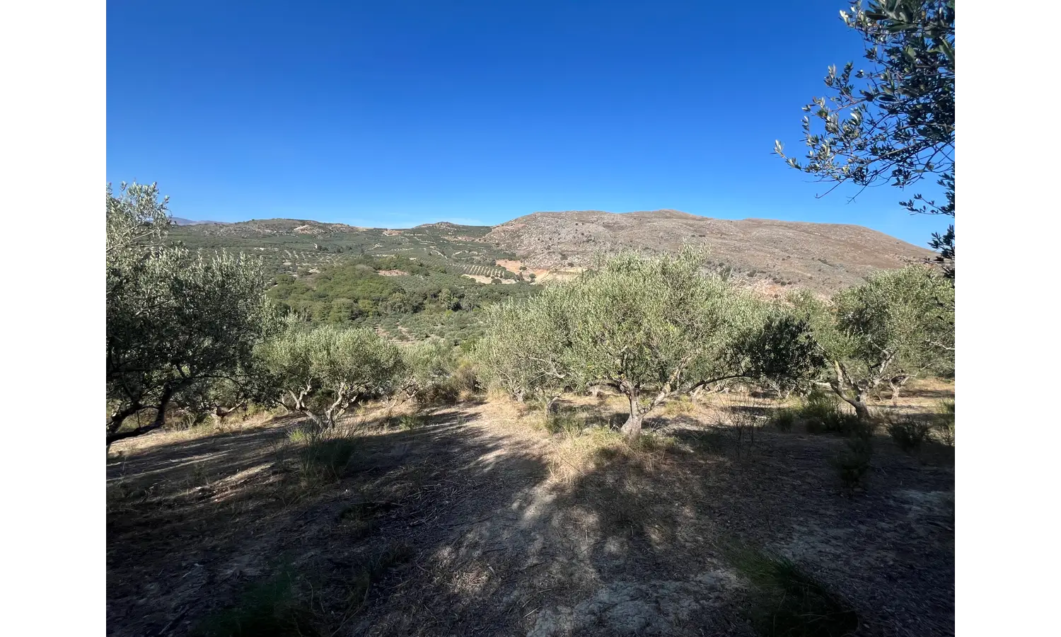 Plot for Sale in Deliana, Kolimbari