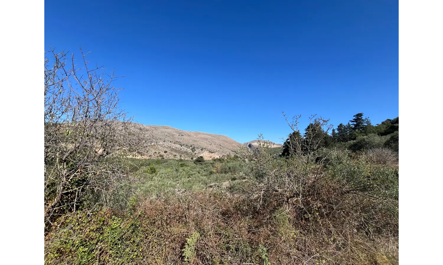 Expansive Plot for Sale in Deliana, Kolimbari: Exceptional Prospects.