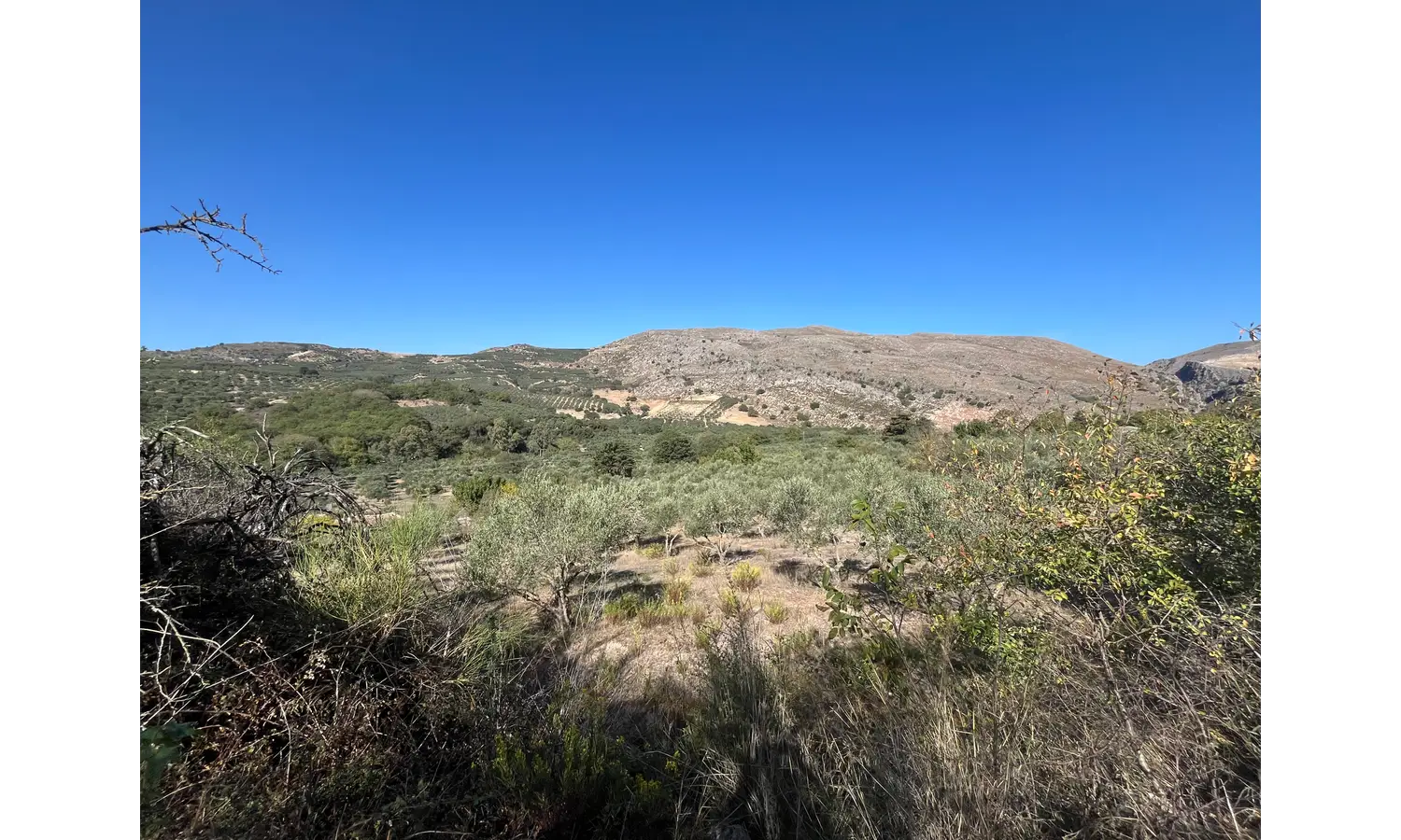 Expansive Plot for Sale in Deliana, Kolimbari: Exceptional Prospects.