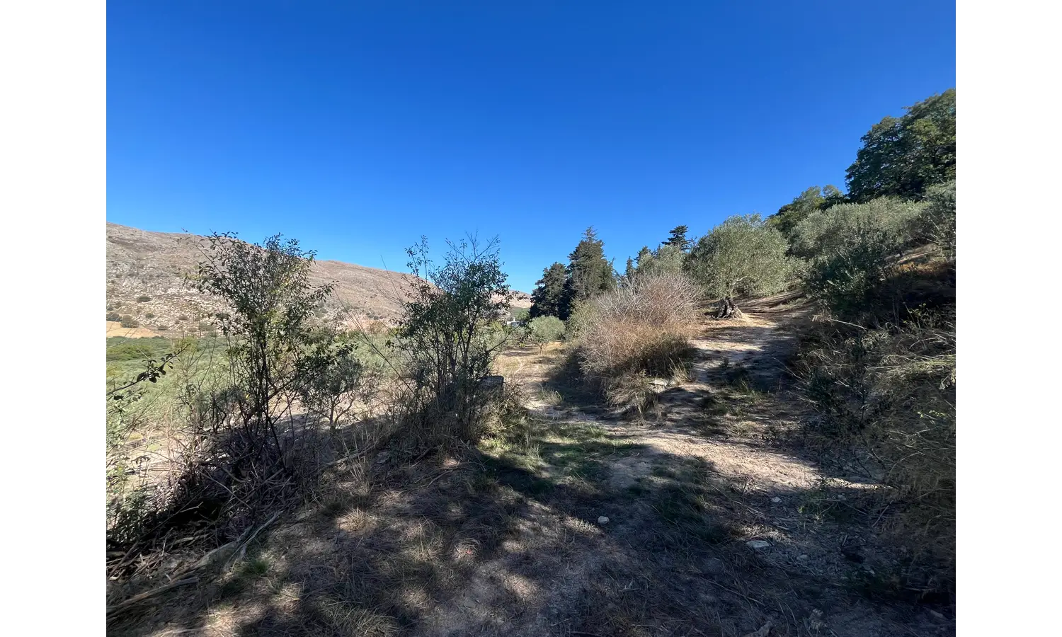 Expansive Plot for Sale in Deliana, Kolimbari: Exceptional Prospects.