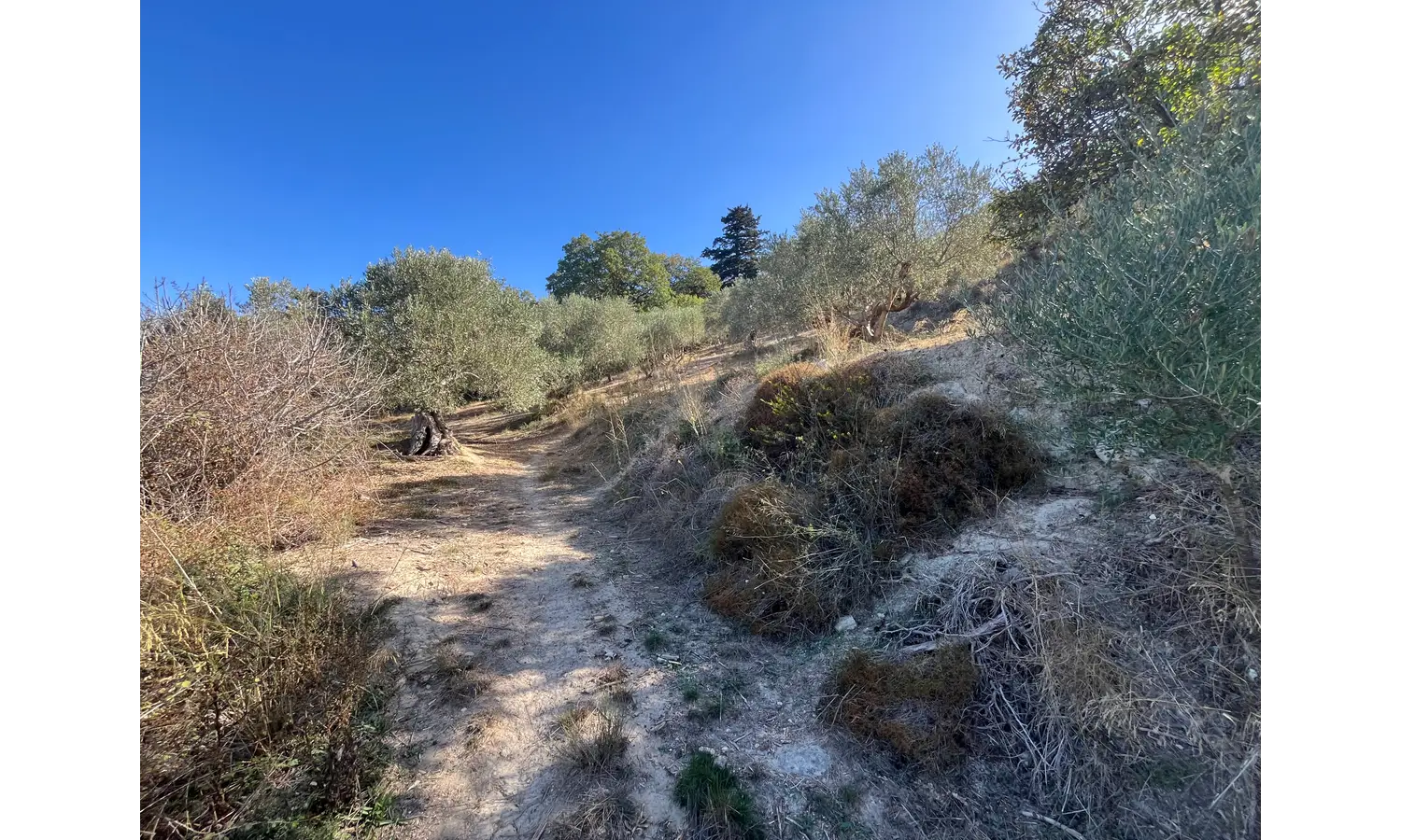 Plot for Sale in Deliana, Kolimbari