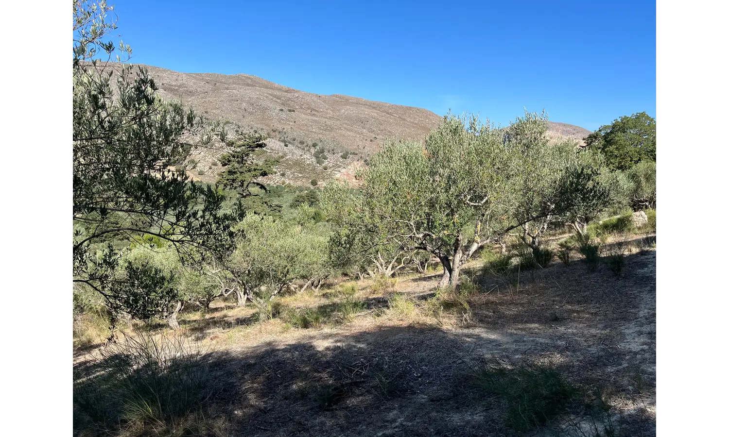 Plot for Sale in Deliana, Kolimbari
