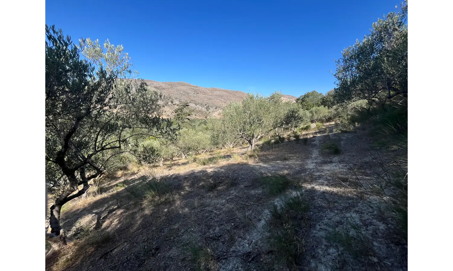 Plot for Sale in Deliana, Kolimbari